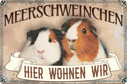 Wetterfestes 14 x 20 cm Blechschild, Wandschild, Türschild Hier wohnen wir: Meerschweinchen