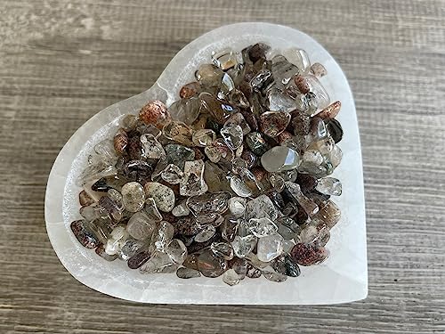 Image of GAF TREASURES 2 oz Lot Natural Semi Tumbled Gemstone Chips, Crushed Mini Crystals, Undrilled Crystal Chips (Rutilated Quartz Mixed)
