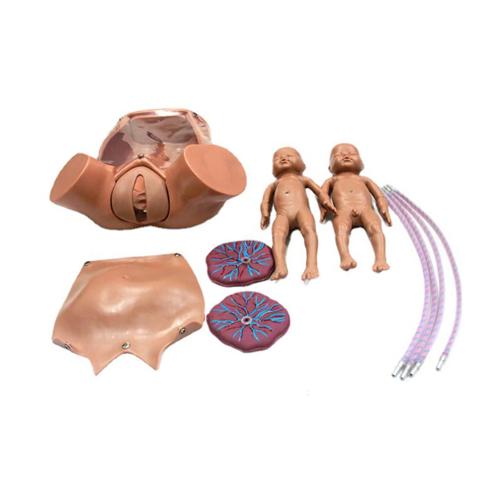 Outils de modèle d'enseignement, modèle Complet de Formation aux compétences pour l'accouchement de Jumeaux, Position fœtale féminine, Accouchement, dystocie, modèle de démonstrati
