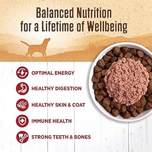 Wellness-Natural-Pet-Food-95-Beef-Natural-Wet-Grain-Free-Canned-Dog-Food-132-Ounce-Can-Pack-of-12 - Cucciolini Doodles   Wellness-Natural-Pet-Food-95-Beef-Natural-Wet-Grain-Free-Canned-Dog-Food-132-Ounce-Can-Pack-of-12