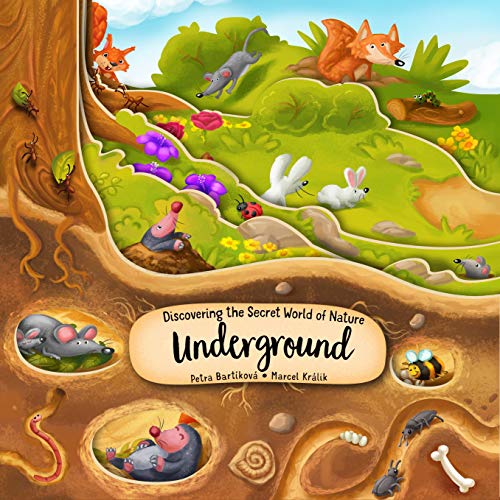 Image of Discovering the Secret World of Nature Underground (Happy Fox Books) Board Book Takes Kids Ages 3-6 Deep into the Ground with Every Turn of the Page, plus Fun Facts and Vocabulary Words