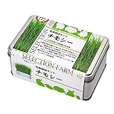 イースター セレクションファーム 牧草栽培セット チモシー