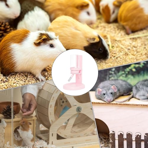 Bouteille d'eau pour hamster pour le bien-être et l'hydratation de votre petit compagnon
