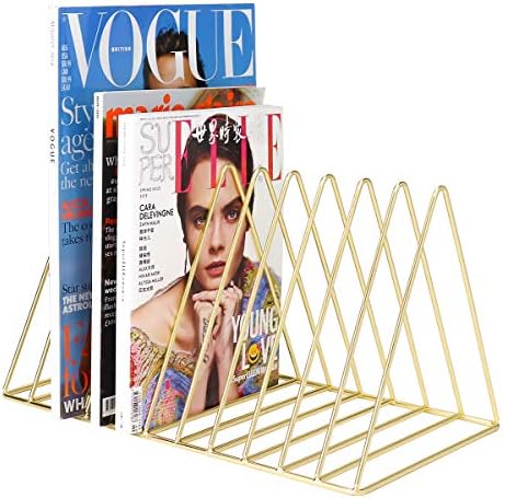 MORIGEM File Organizer, Bookshelf Magazine Rack, Triangle Iron Book Rack, 11 Slots Book Stand, Book Display for Office Home School (Gold)
