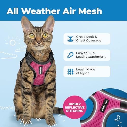 Image of Voyager Escape-Proof Step-in Lock Cat Harness & 5ft Neoprene-Handle Leash Set All-Weather Mesh with Reflective Stitching for Small to Large Cats by Best Pet Supplies, Black Trim-Fuchsia (327), XXS