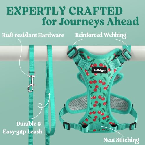 Image of rabbitgoo Cat Harness and Leash Set, Escape Proof Vest, Cherry Grove