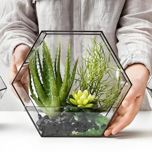 Image of FANTIAN 5 lbs Pebbles for Indoor Plants. 3 /8 inch Small Black Stones, Decorative Black River Rocks for Plant Outdoor, Vase, Landscaping and Garden