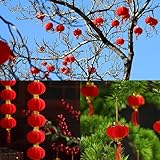 BAIWOVIS Red Lantern for Chinese New Year 2024 - 30 Pcs Decorative Mini Lanterns for Spring Festival and Lantern Festival, Decor for China Town,Home,Office and Shop, Ornaments for Bonsai, Plant (4#)