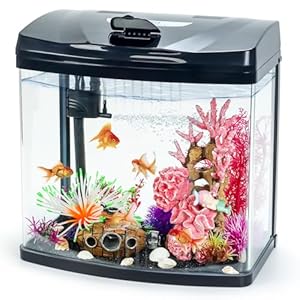 6 Gallon Glass Aquarium Starter Kit with Flip-Top Feeding Port for Betta Fish: Crystal Clear Viewing, Eco-Cycle Filtration, Air Pump, and LED Lighting