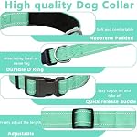 Reflective Dog Collar, Soft Neoprene Padded Pet Collar for Small, Medium, Large Dogs, Adjustable Puppy Collars with Quick Release Buckle, Safe Breathable Nylon Dog Collars for Puppies(Teal,XS) - Image 2