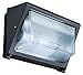 Lithonia Lighting TWR1 100M TB LPI 100W Metal Halide Glass Lens with Multi-Tap Ballast and Bulb, Bronze