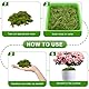 XPJBKC Sphagnum Moos, 2 x 150g Spagnummoos für Pflanzen, Orchideen Moos Sphagnum, Ernährung Organisches Torfmoos, Sphagnum Moss für Orchideen, Terrarien, Pflanzensetzlinge, Bewurzelung von Stecklingen