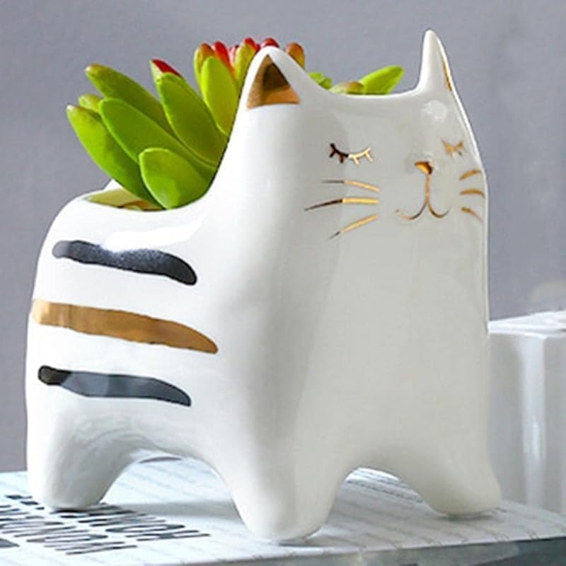 楽天市場】CT触媒 多肉植物 吊り下げボール Sサイズ ハンギングサキュレント フェイクグリーン インテリアグリーン 観葉植物 造花 葉っぱ 置物  人工 サボテン イミテーション アーティフィシャル 消臭 抗菌 人工観葉植物 鉢植 御祝 花 アレンジ リアル ギフト プレゼント ... KryZaro播種機吊り下げ式猫デザインプランター 多肉植物/サボテン/空気植物用装飾花瓶 置物像植木鉢 室内外装飾対応 スペース効