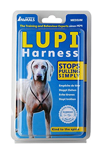 Company of Animals Lupi Non-Pull Harness Puppy Dog Harness, Medium