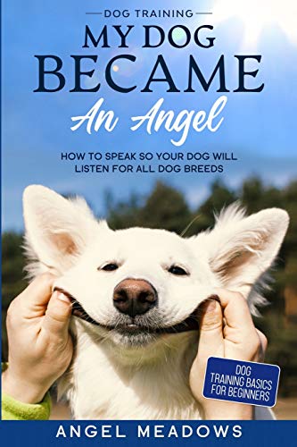 Dog breeds for beginners