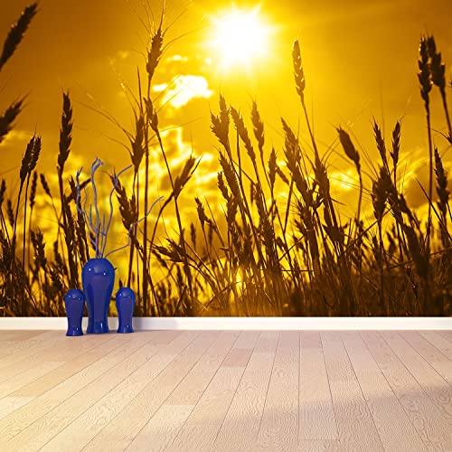 Papier peint moderne haut de gamme champ de blé 250x104cm Tulup design mural - 4