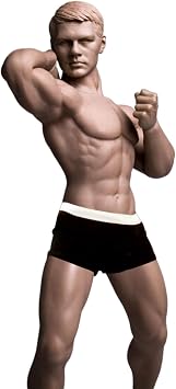 HiPlay TBLeague 1/6 Scale Seamless Male Action Figure Body - 12" Super Flexible Collectible Figure Doll M30