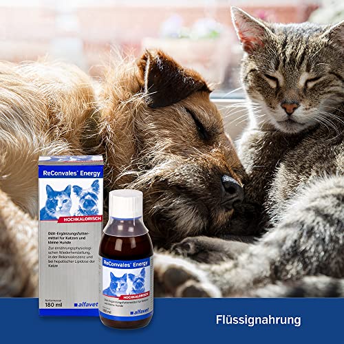 Alfavet-ReConvales-Energy-Hochkalorisch-in-der-Rekonvaleszenz-fuer-Katzen-und-kleine-Hunde-bei-hepatischer-Lipidose-der-Katze-Diaet-Ergaenzungsfuttermittel-180ml