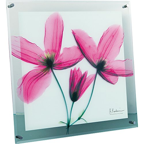 ユーパワー 植物 花 ピンク W36×H36×D2cm