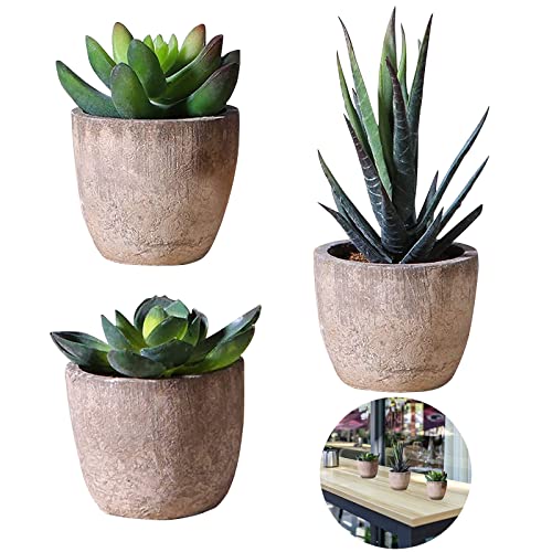 Lot de 3 Plantes succulentes artificielles artificielles avec Pot - Plantes succulentes artificielles avec Pot - Plantes succulentes artificielles - Décoration pour Salon, Balcon, Chambre à Coucher