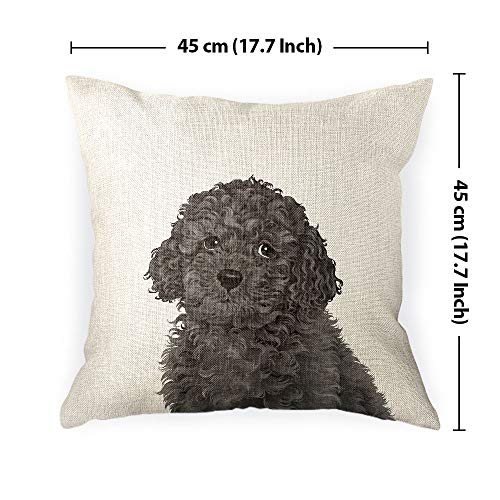 Wirester SQPILL17CS-SBPDSQPET0001-A4547 Sofa Pillow Case, Decorative Throw Pillow Cushion Cover For Home Office 18 X 18 Inch, Cute Grey Toy Poodle thumb #3