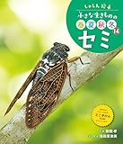 セミ１４　しゃしん絵本　小さな生きものの春夏秋冬