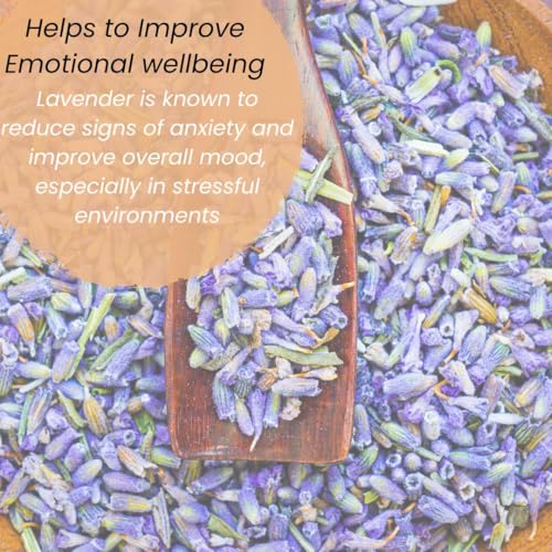 Image of HERBALPRASH Dried Lavender Buds - 50g | 100% Natural & Fragrant | Culinary Grade for Tea, Baking, Aromatherapy & Skincare | Stress Relief & Relaxation