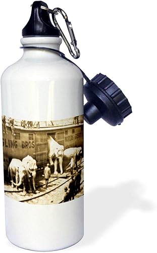 3dRose WB _ _ _ _ _ _ _ _ _ _ 16232 _ _ _ _ _ _ _ _ _ _ 1 " clásico Barnum Elefantes "Deportes botella de agua, 21 oz, color blanco