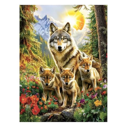 G  G |Lbg yCgoCio[ T Lbg  ANG̋ M LoX 20 x 30 cm EH[A[g  LoXGpLrO[Q̉Ƃ̑ Ǐ Mtg JLYH-6250