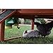 Rugged Ranch High End Hen Elevated 10 Pound PVC Poultry Feeder and Mounting System for Any Style of Coop, Green