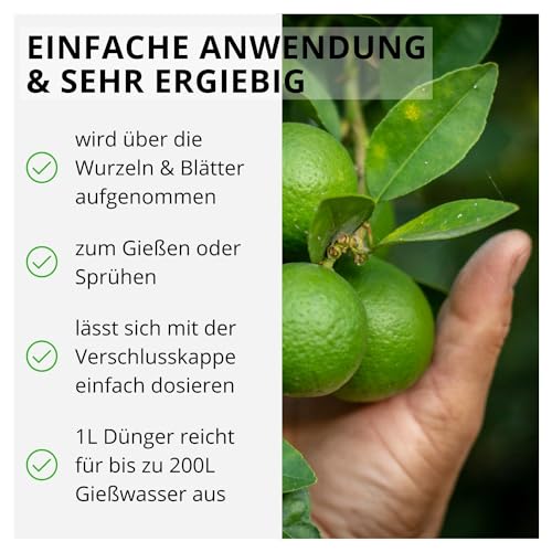 Zitrusdünger Flora Boost Konfitee 1000ml für Zitruspflanzen