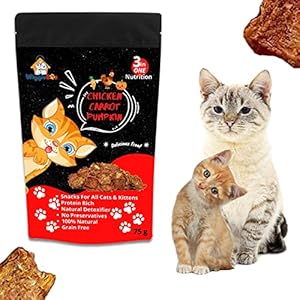 WiggleBoo Chicken, Carrot & Pumpkin Cat Treat | Protein Rich | Natural Detoxifier | 100% Natural Crunchy Snack | (75g)