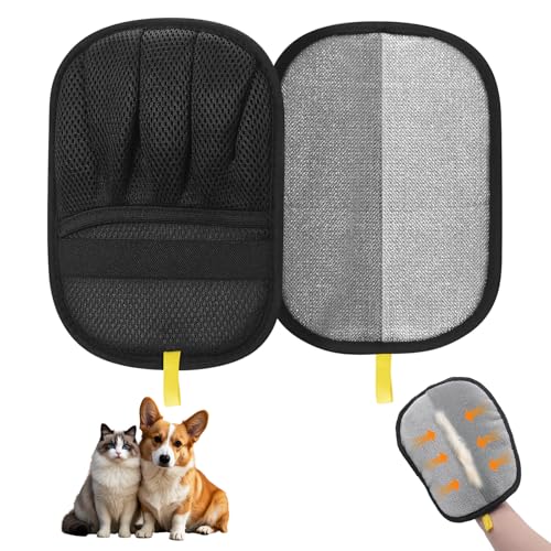 MewZoo ybgEуO[uA5{wėp\Lу[o[Ód܁AJE`AxbhAƋAJ[ybgAJ[eAߗޗpʃO[~O~bg