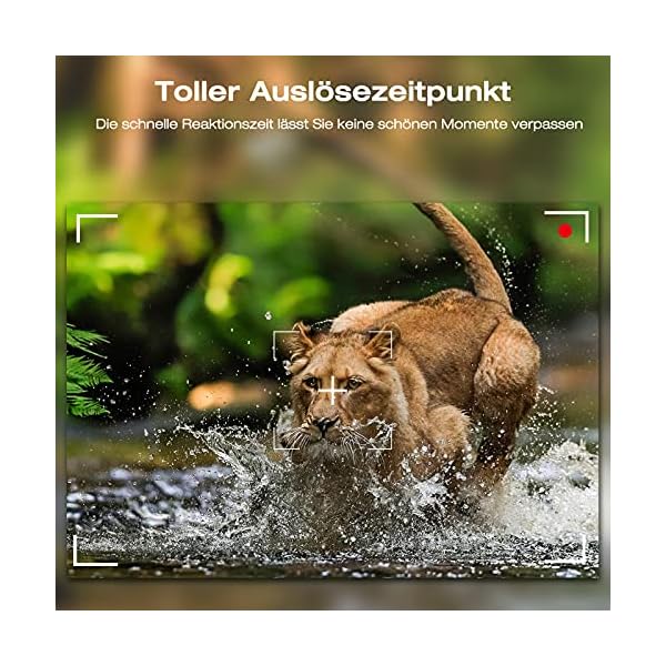 CAMPARKTOP Mini Wildkamera 16MP 1080P 850nm Leichtes Glimmen Nachtsicht Wildkamera mit Bewegungsmelder zur Beobachtung… – Bild 5