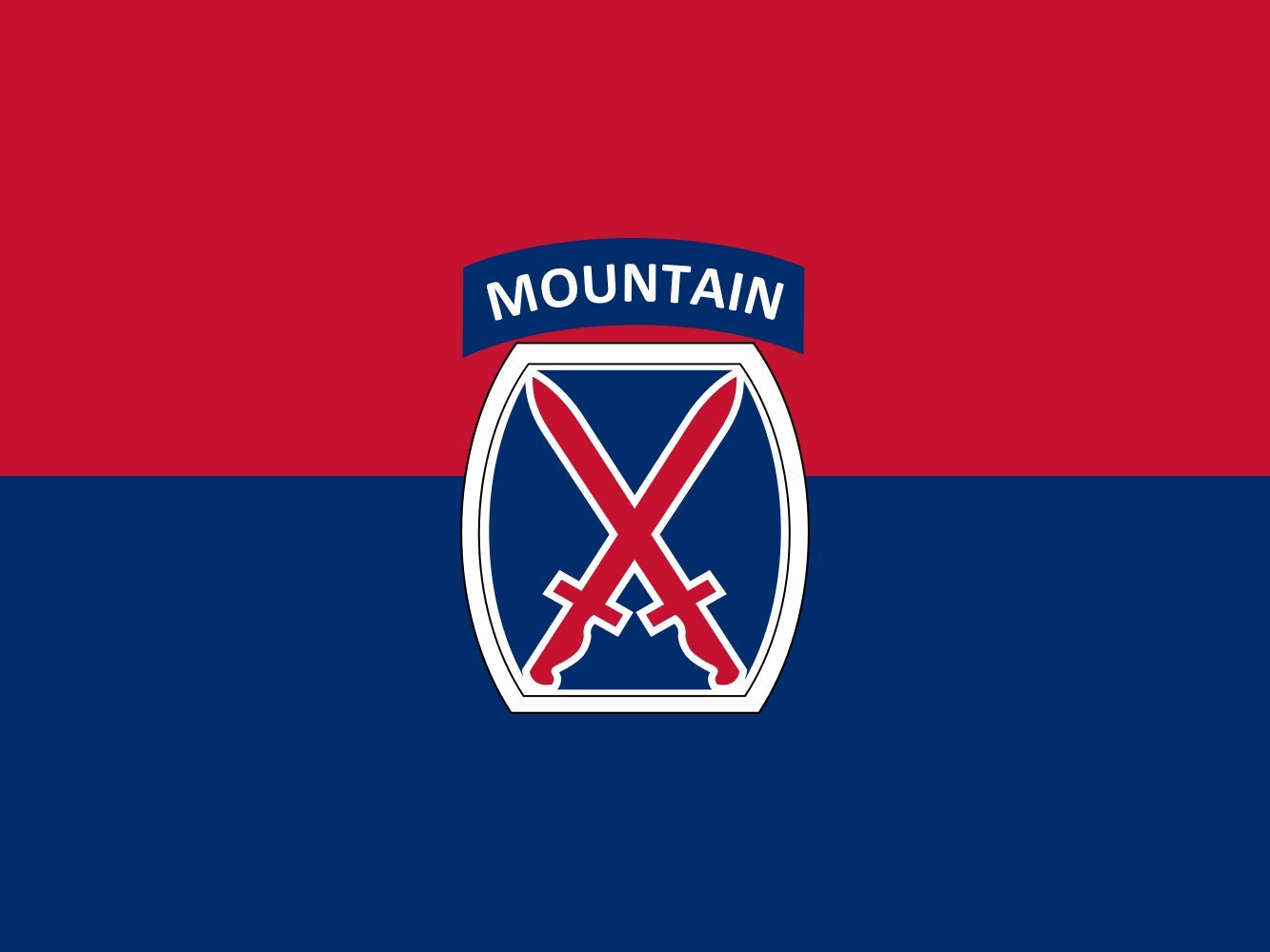 Bandiera Large U.S. Army 10th Mountain Division | United States