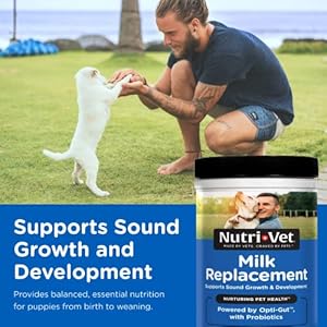 Nutri vet milk replacement for puppies healthy gut support with probiotics 12 ounces packaging may vary  urban country home decor