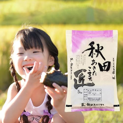 [玄米][令和7年産 新米予約][定期便2ヶ月]秋田県産 あきたこまち 20kg (5kg×4袋)×2回 20キロ お米 新米