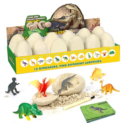 Idota Lot de 12 œufs de dinosaure, excavation d'œufs de dinosaures, 12 types, jouets, cadeau pour enfants 3-10 ans, à déterrer, kit