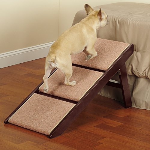 doggy step stool