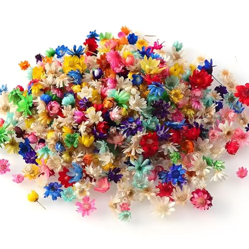 MYTOAU 400 Pieces Small Dried Flowers,Real Natural Mini Dried Flowers,Colourful Dry Flowers,Dried Pressed Flowers Bulk for Crafts DIY Nail Art,Resin Candles Soap Making,Scrapbooking,Daily Decoration