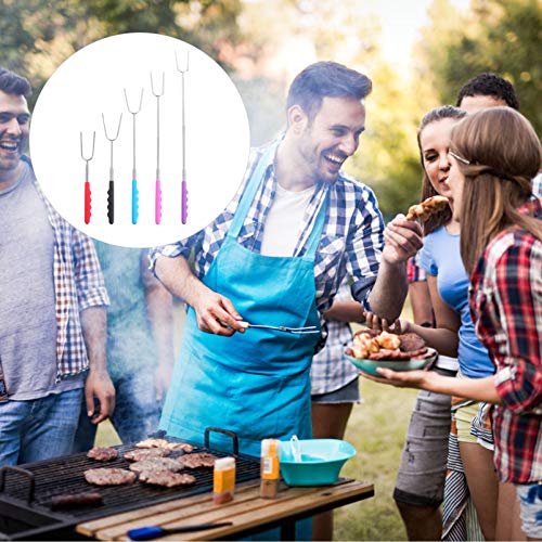 Espetos extensíveis de aço inoxidável Hemoton 5 peças para grelhar acampamento