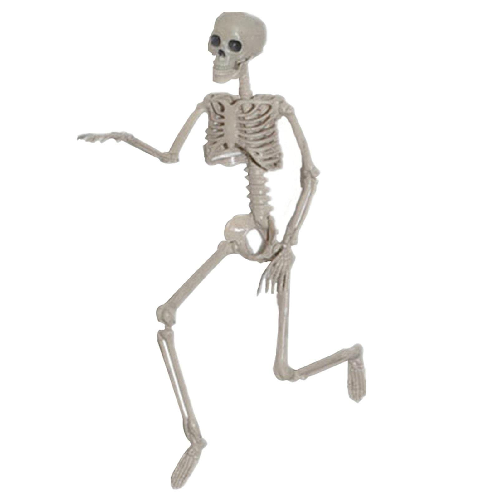 CLUB BOLLYWOOD Skeleton Realistic Halloween Party Grave Lawn Garden Decoration H 15Cm | Toys & Hobbies | Action Figures | Tv, Movie & Video Games | TV, Movie & Video Games (B0CD1PNHNK) Amazon Price History, Amazon Price Tracker