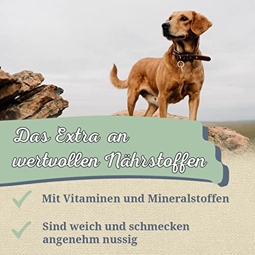 Krauterie Brennnesselsamen Hund, Einzelfuttermittel für Hunde (100 g), Ganze Samen der Brennnessel in Spitzenqualität