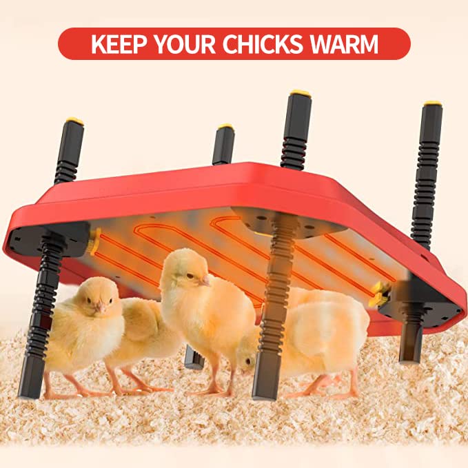 Lámpara de Calor para Pollitos, Calentador, Caja criadora de Aves de Corral, lámpara de Calor para Pollitos, termostato (12" x 12"), 20 Pollitos