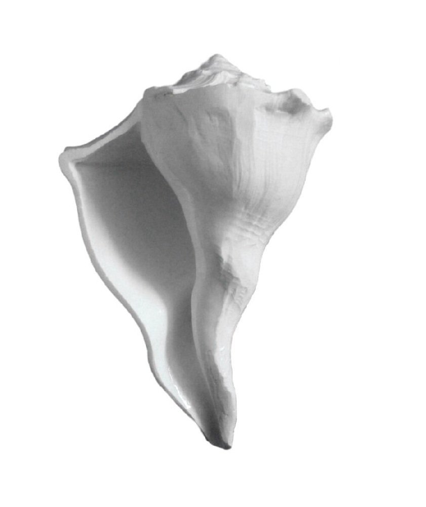 Indianstore4All Certified Dakshinavarti Non Blowble Shankh 3 Inch