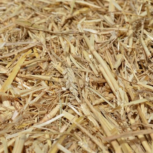 agrar-store 5Kg Stroh Gerstenstroh direkt ab Hof Einstreu Futter...