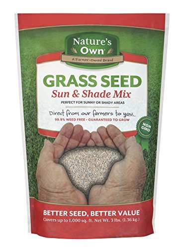 Mountain View Seeds Natures Own Sun & Shade Mix Grass Seed, 3-Pounds #TOP12