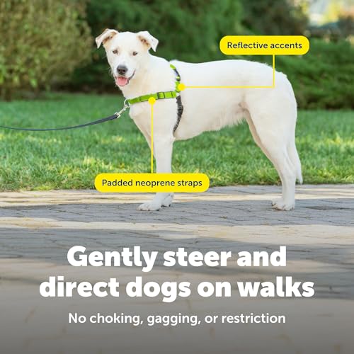 PetSafe Easy Walk Deluxe Dog Harness, No Pull Dog Harness Perfect for Leash & Harness Training Stops Pets from Pulling and Choking on Walks Medium/Large, Apple Green by PetSafe - Image 4