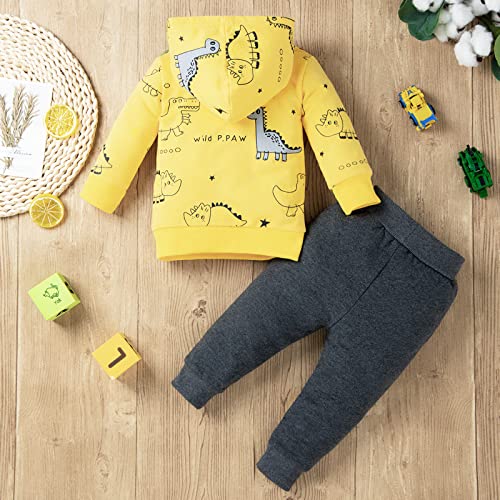 Toddler Baby Boy Clothes Infant Spring Winter Outfits Pocket Hoodie Sweatshirt Dinosaur Pants3