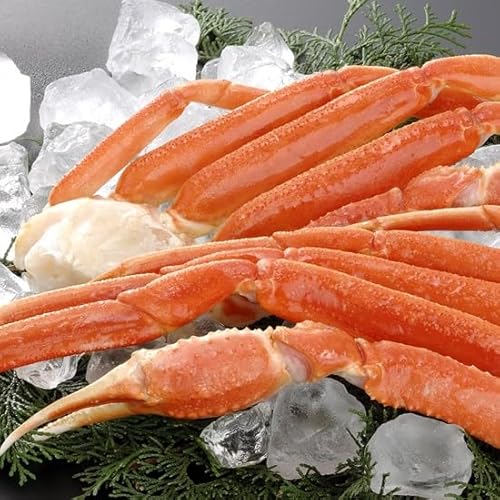 Ⓚ{C {YCI (1kg)/Jj  YCKj ZNV  NNn